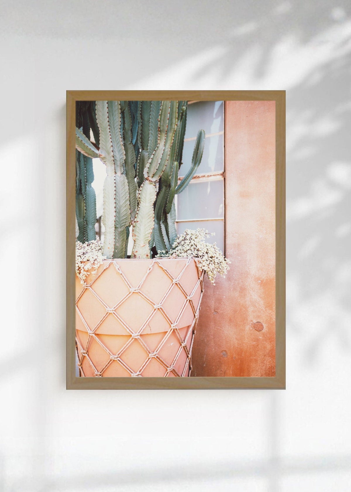 Cuadro Decorativo Playa, Cactus Pared Rosa