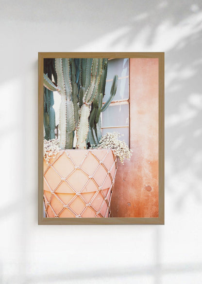 Cuadro Decorativo Playa, Cactus Pared Rosa