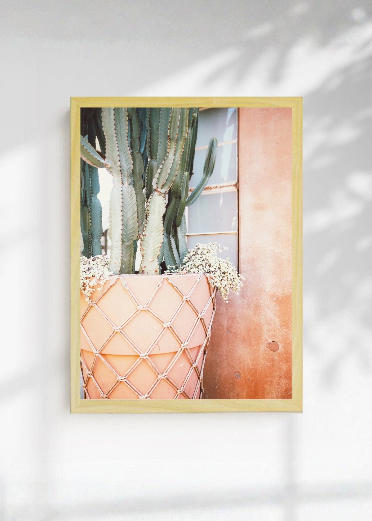 Cuadro Decorativo Playa, Cactus Pared Rosa