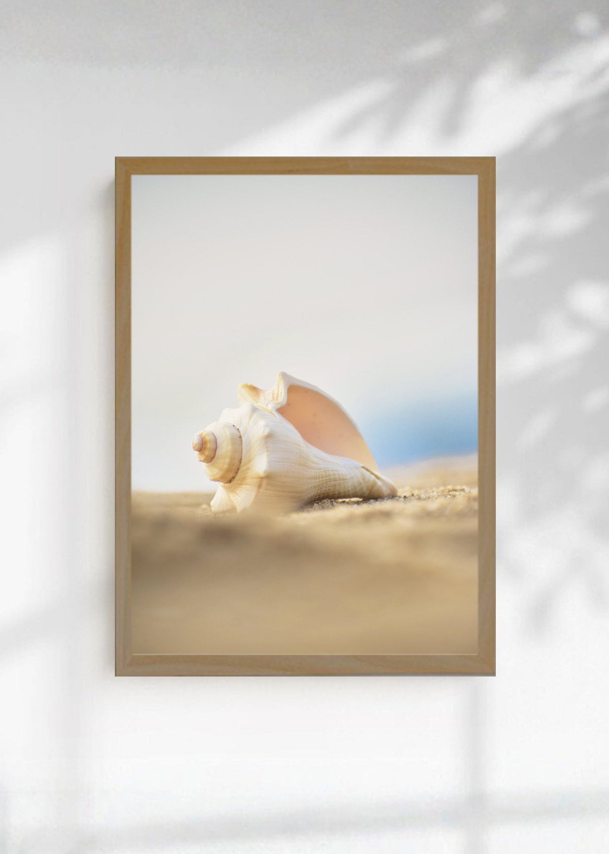 Cuadro Decorativo Playa, Caracol Arena Beige