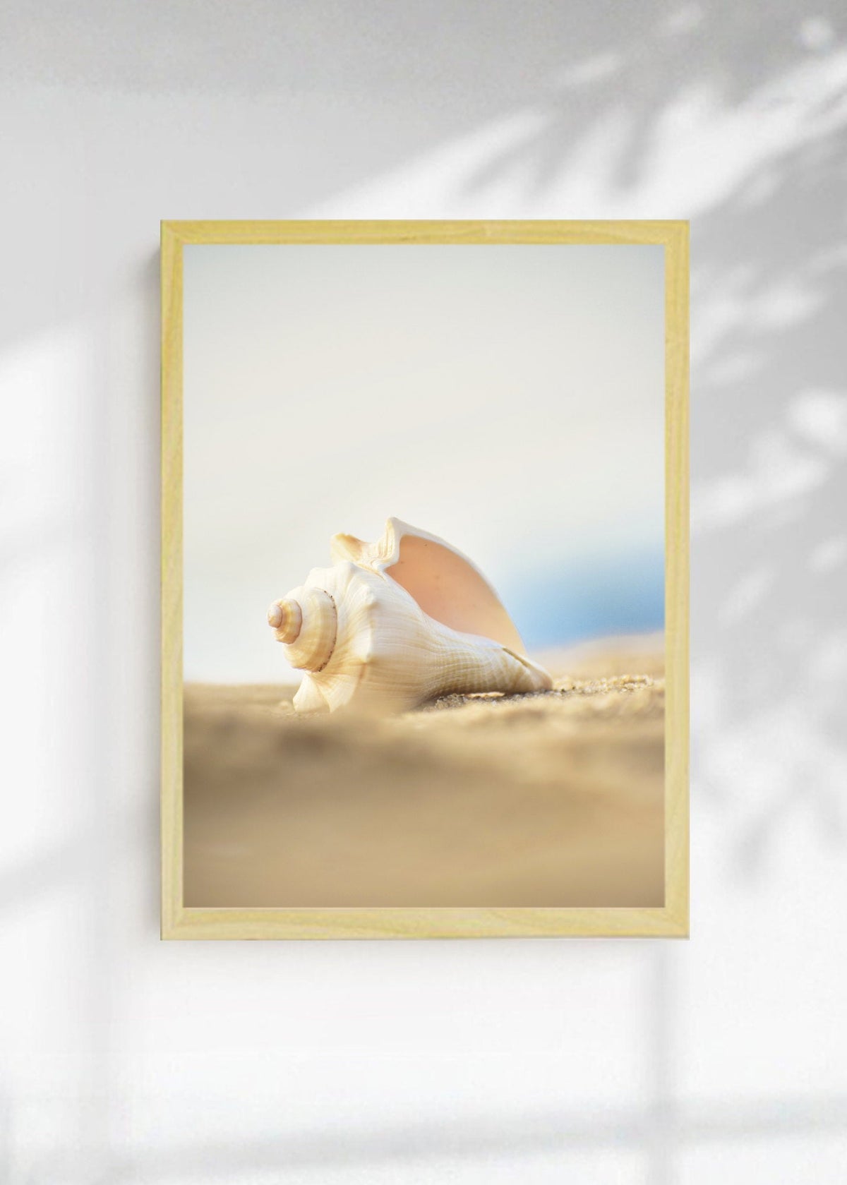 Cuadro Decorativo Playa, Caracol Arena Beige