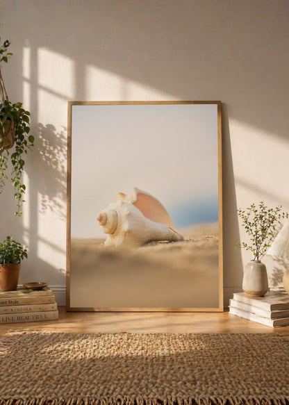 Cuadro Decorativo Playa, Caracol Arena Beige