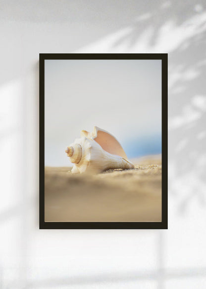 Cuadro Decorativo Playa, Caracol Arena Beige