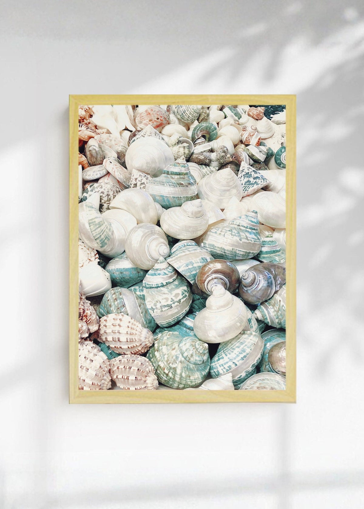 Cuadro Decorativo Playa, Caracoles Monton