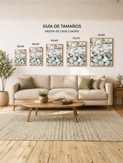 Cuadro Decorativo Playa, Caracoles Monton