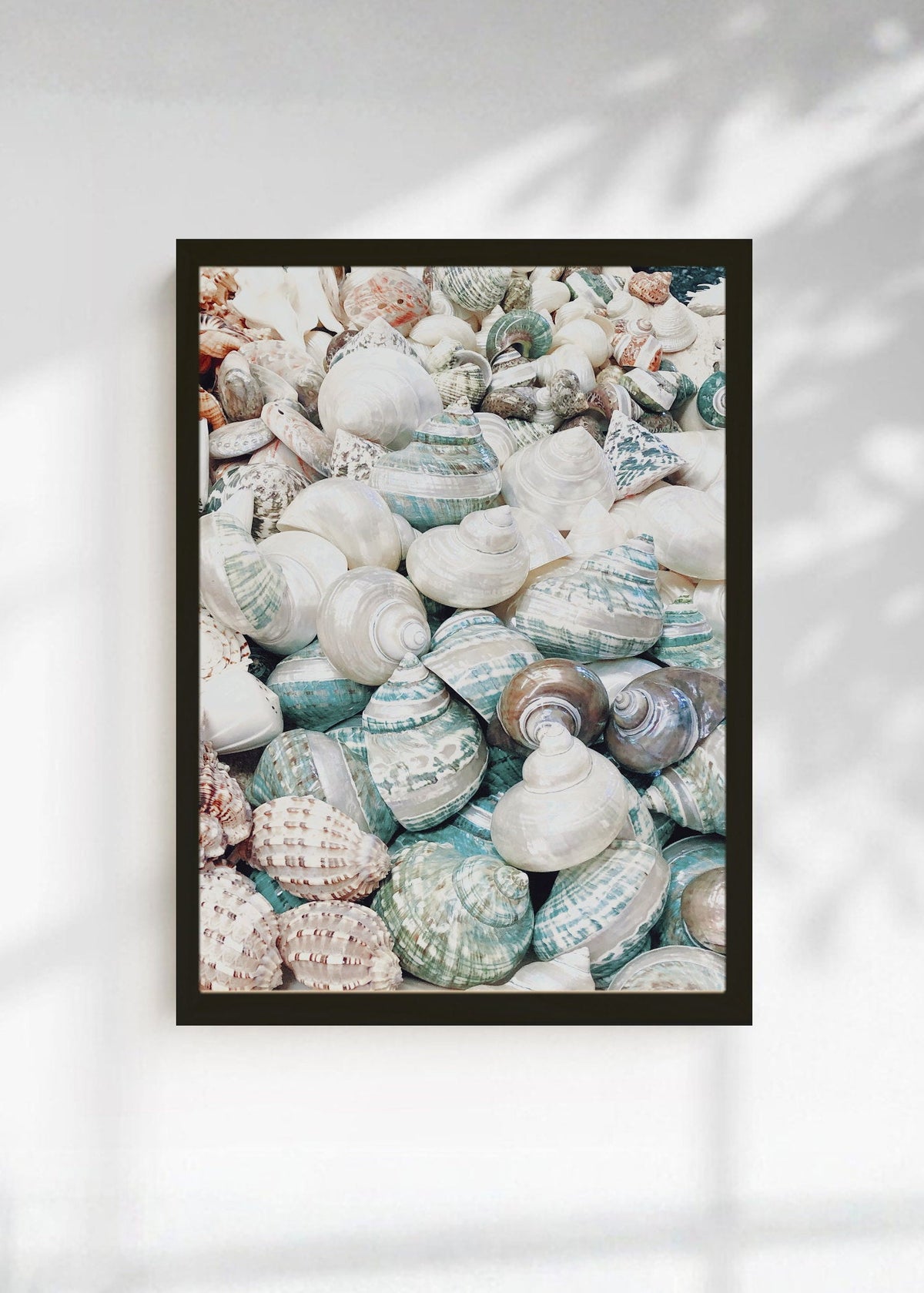 Cuadro Decorativo Playa, Caracoles Monton