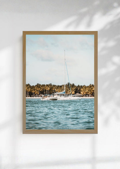 Cuadro Decorativo Playa, Catamarán Palmeras Mar