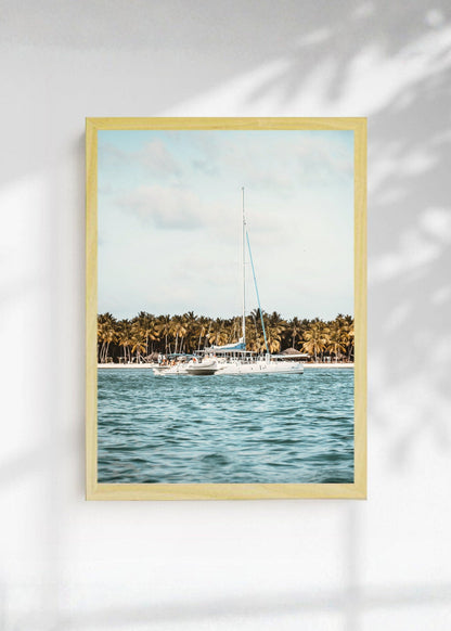 Cuadro Decorativo Playa, Catamarán Palmeras Mar