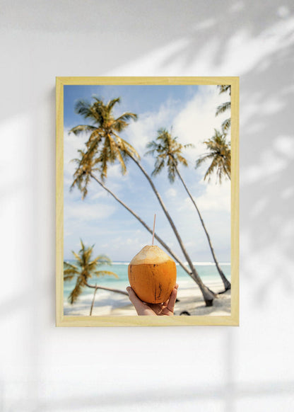 Cuadro Decorativo Playa, Coco Bebida Palmeras