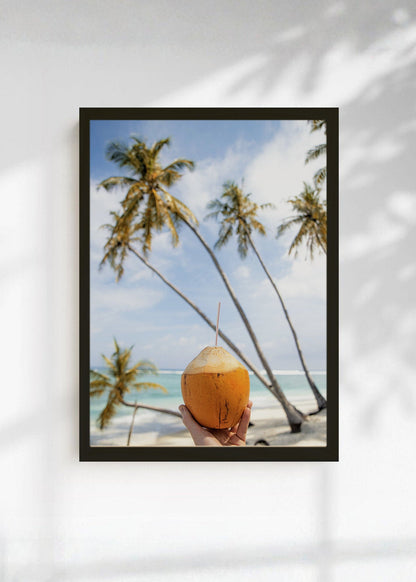 Cuadro Decorativo Playa, Coco Bebida Palmeras