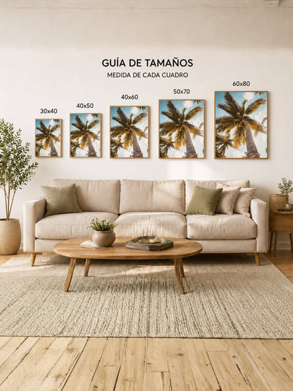 Cuadro Decorativo Playa, Cocoteros Cálidos