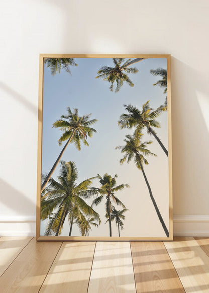 Cuadro Decorativo Playa, Cocoteros Cielo Celeste