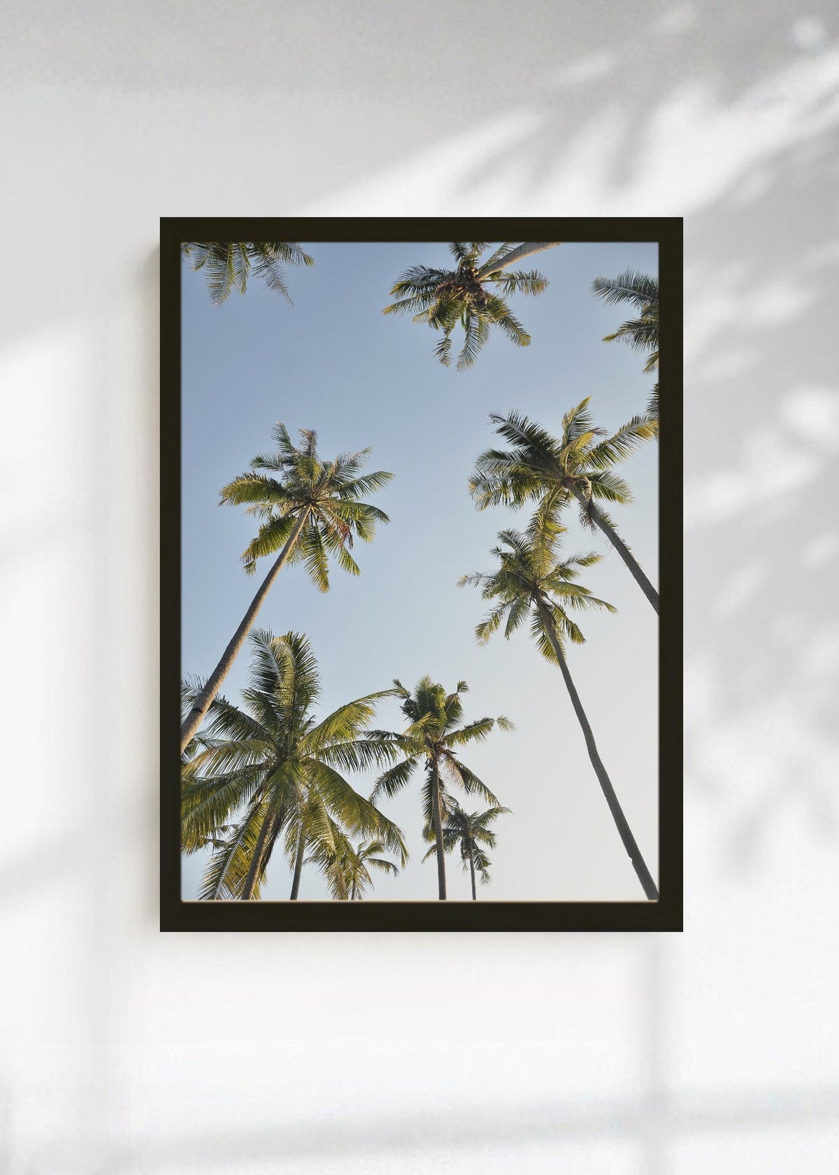 Cuadro Decorativo Playa, Cocoteros Cielo Celeste
