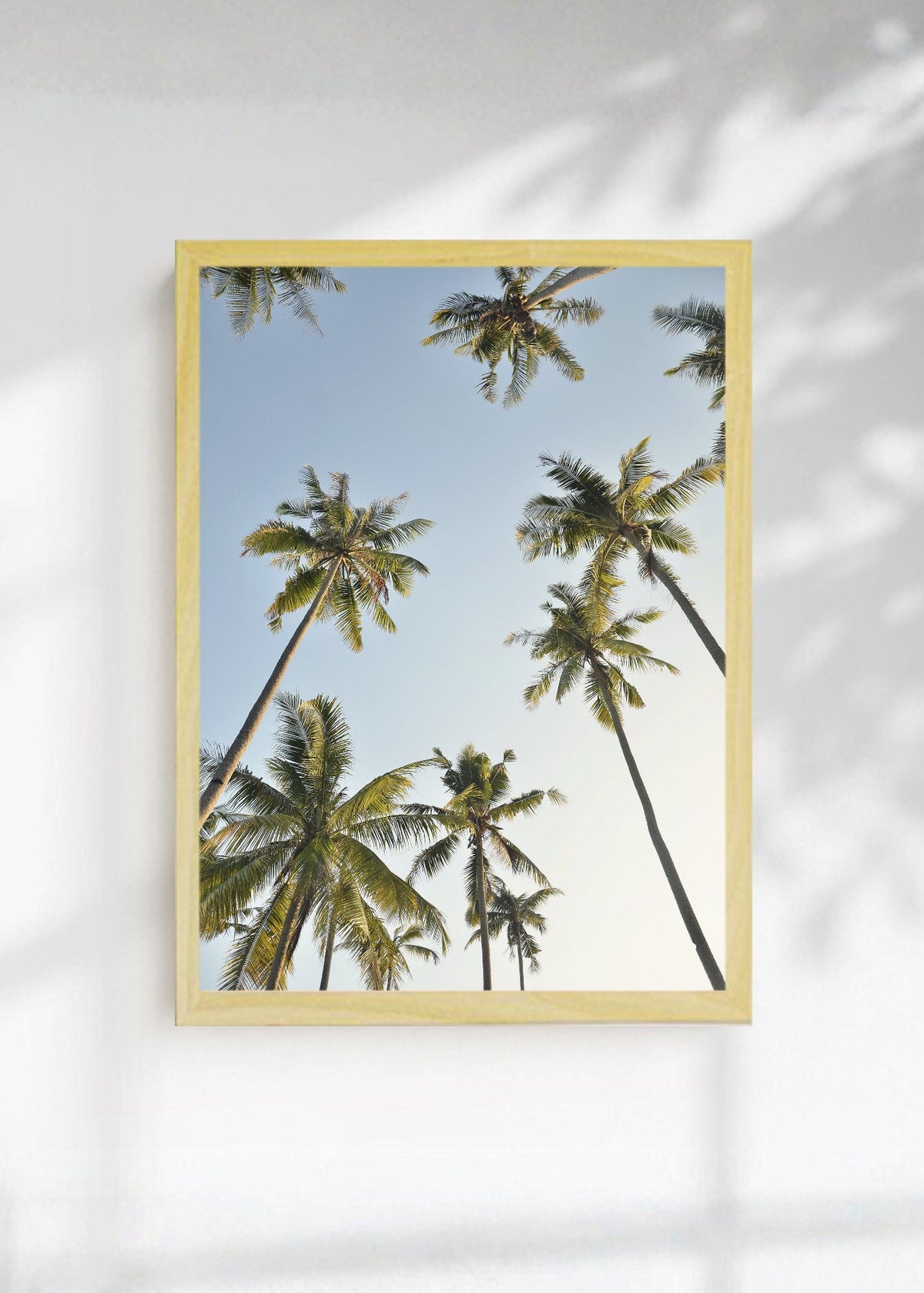 Cuadro Decorativo Playa, Cocoteros Cielo Celeste