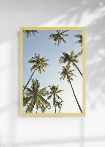 Cuadro Decorativo Playa, Cocoteros Cielo Celeste