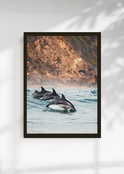 Cuadro Decorativo Playa, Delfines Saltando Mar
