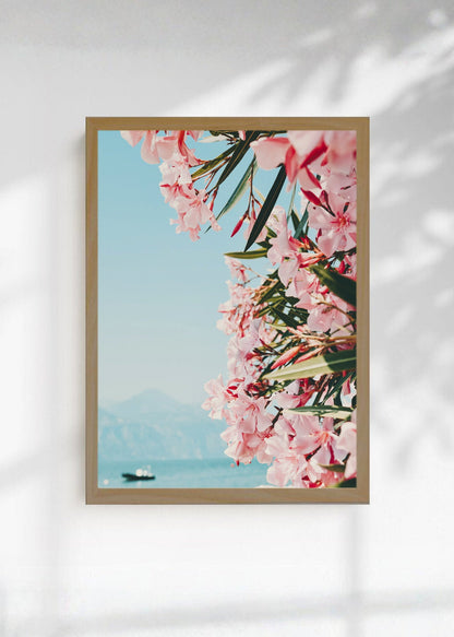 Cuadro Decorativo Playa, Flores Rosas Mar