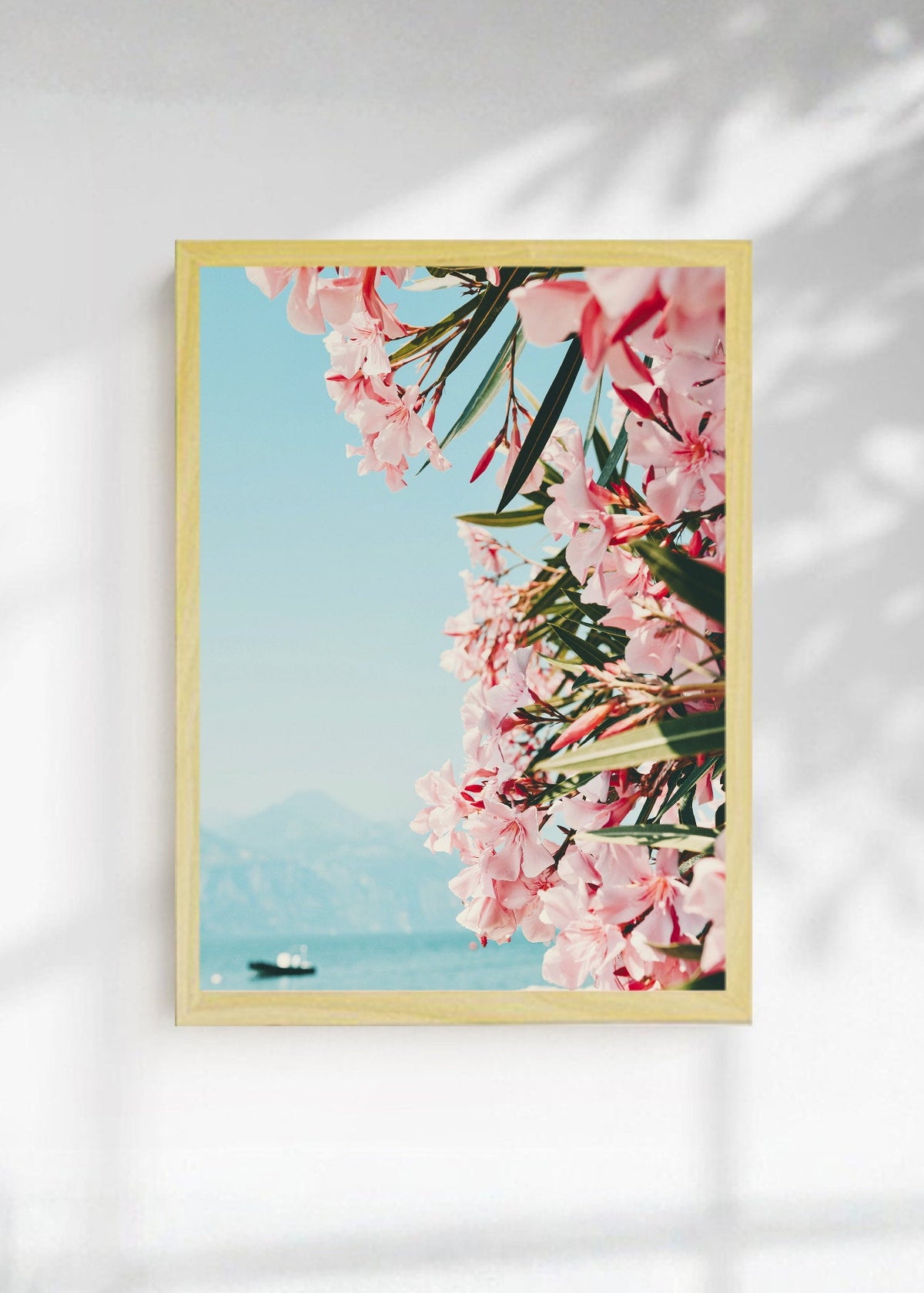 Cuadro Decorativo Playa, Flores Rosas Mar