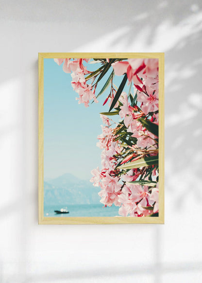 Cuadro Decorativo Playa, Flores Rosas Mar