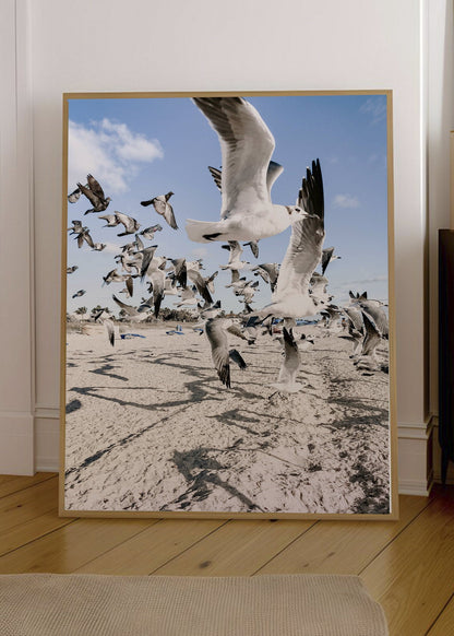 Cuadro Decorativo Playa, Gaviotas Volando Arena