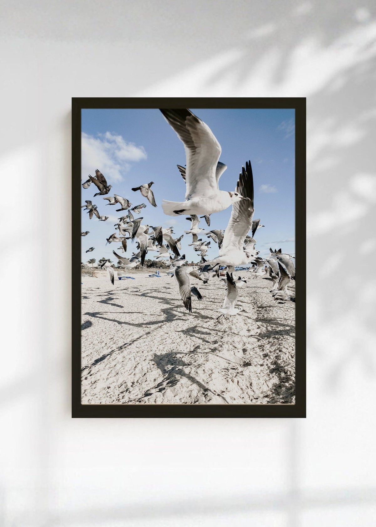 Cuadro Decorativo Playa, Gaviotas Volando Arena