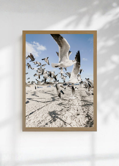 Cuadro Decorativo Playa, Gaviotas Volando Arena