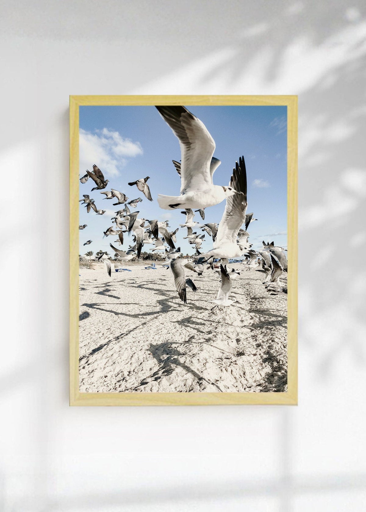 Cuadro Decorativo Playa, Gaviotas Volando Arena