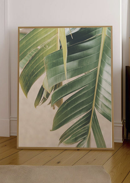 Cuadro Decorativo Playa, Hoja Palmera Detalle
