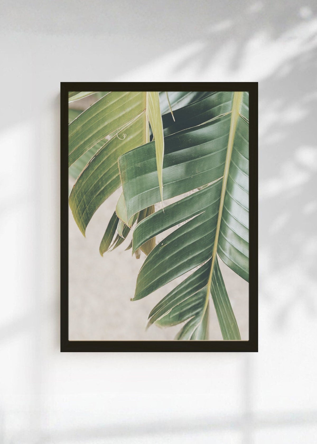 Cuadro Decorativo Playa, Hoja Palmera Detalle