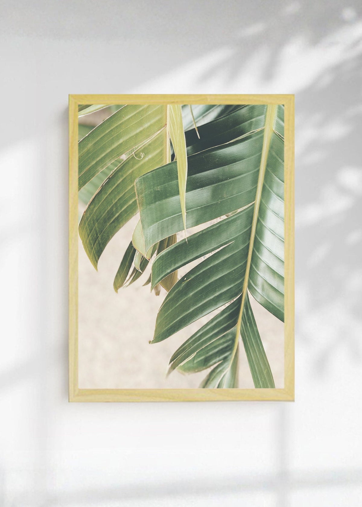 Cuadro Decorativo Playa, Hoja Palmera Detalle