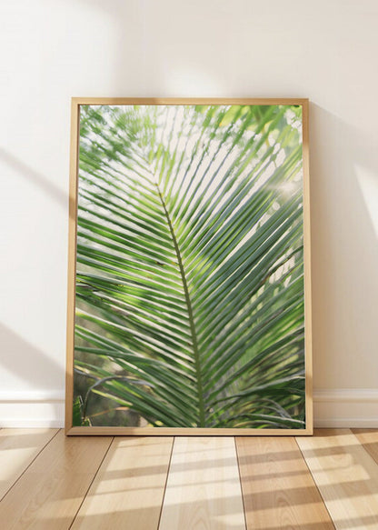Cuadro Decorativo Playa, Hoja Palmera Verde Claro