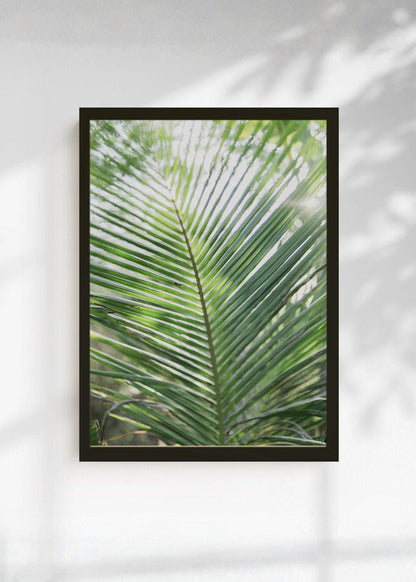 Cuadro Decorativo Playa, Hoja Palmera Verde Claro