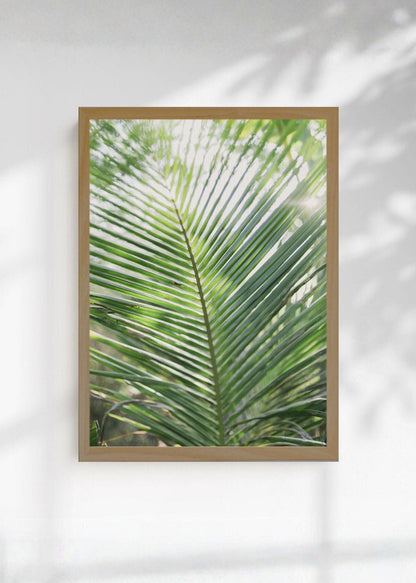 Cuadro Decorativo Playa, Hoja Palmera Verde Claro