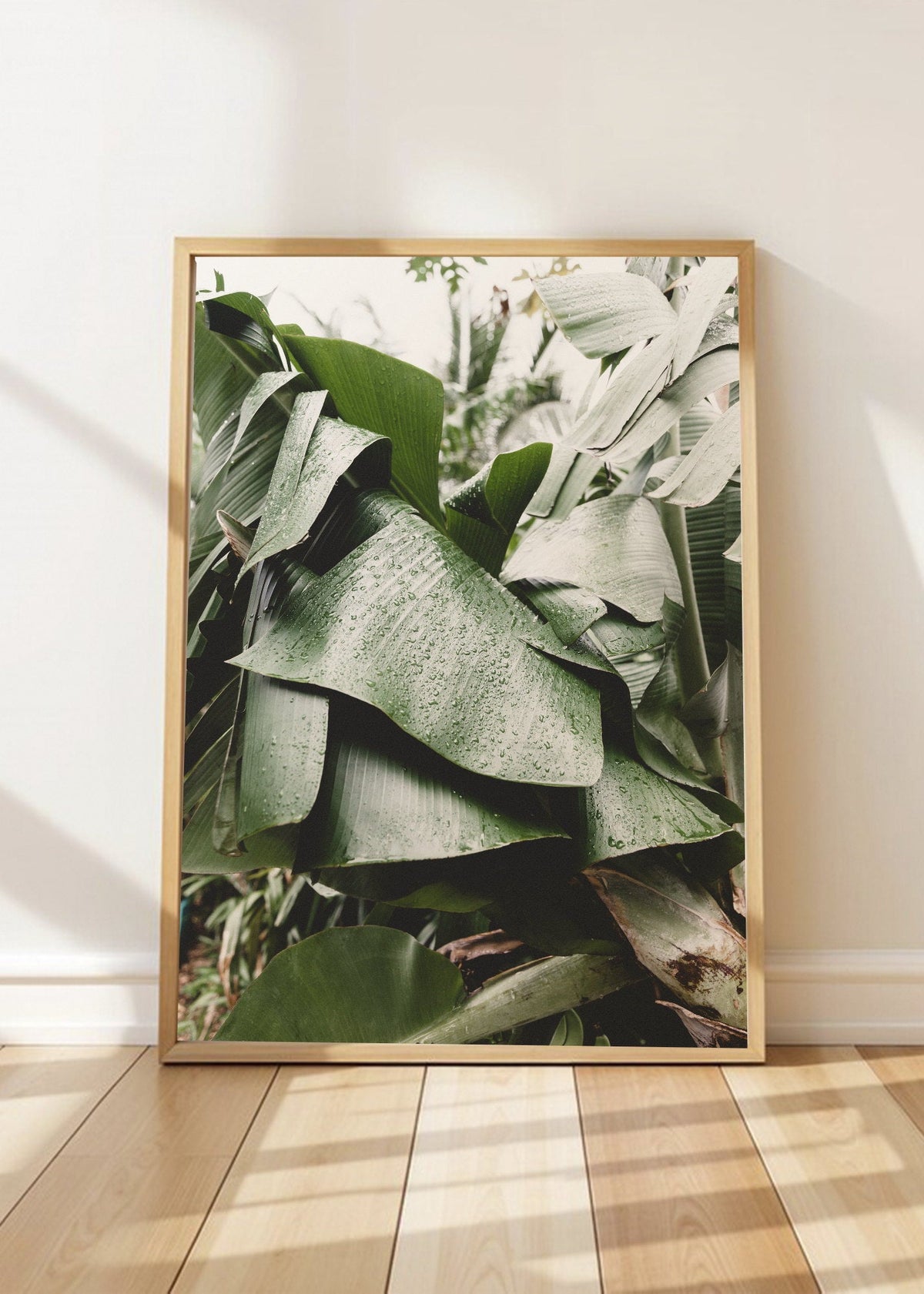 Cuadro Decorativo Playa, Hojas Banano Salvia