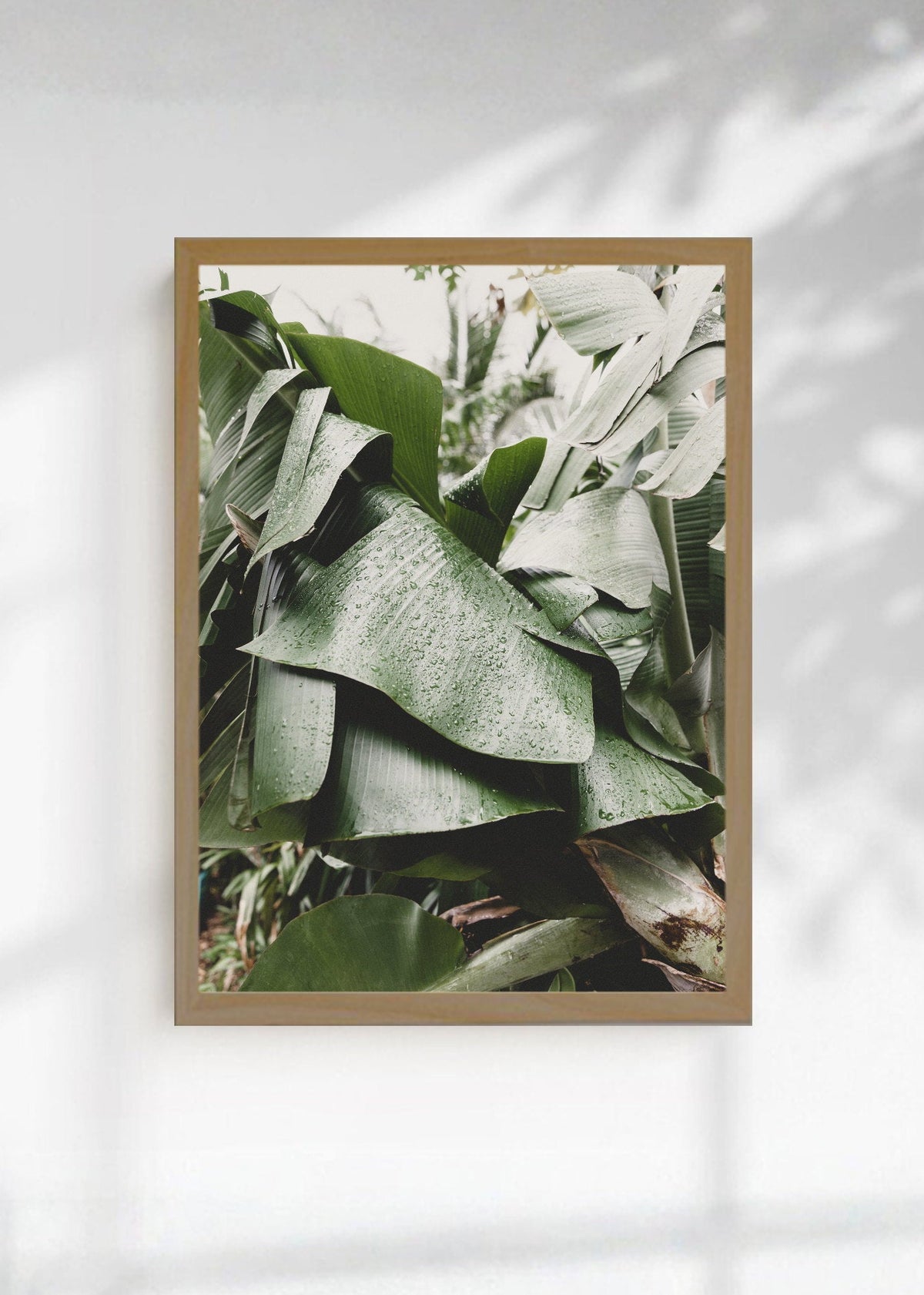 Cuadro Decorativo Playa, Hojas Banano Salvia