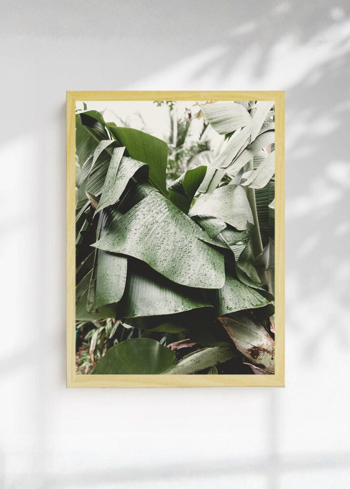 Cuadro Decorativo Playa, Hojas Banano Salvia