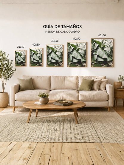 Cuadro Decorativo Playa, Hojas Banano Salvia