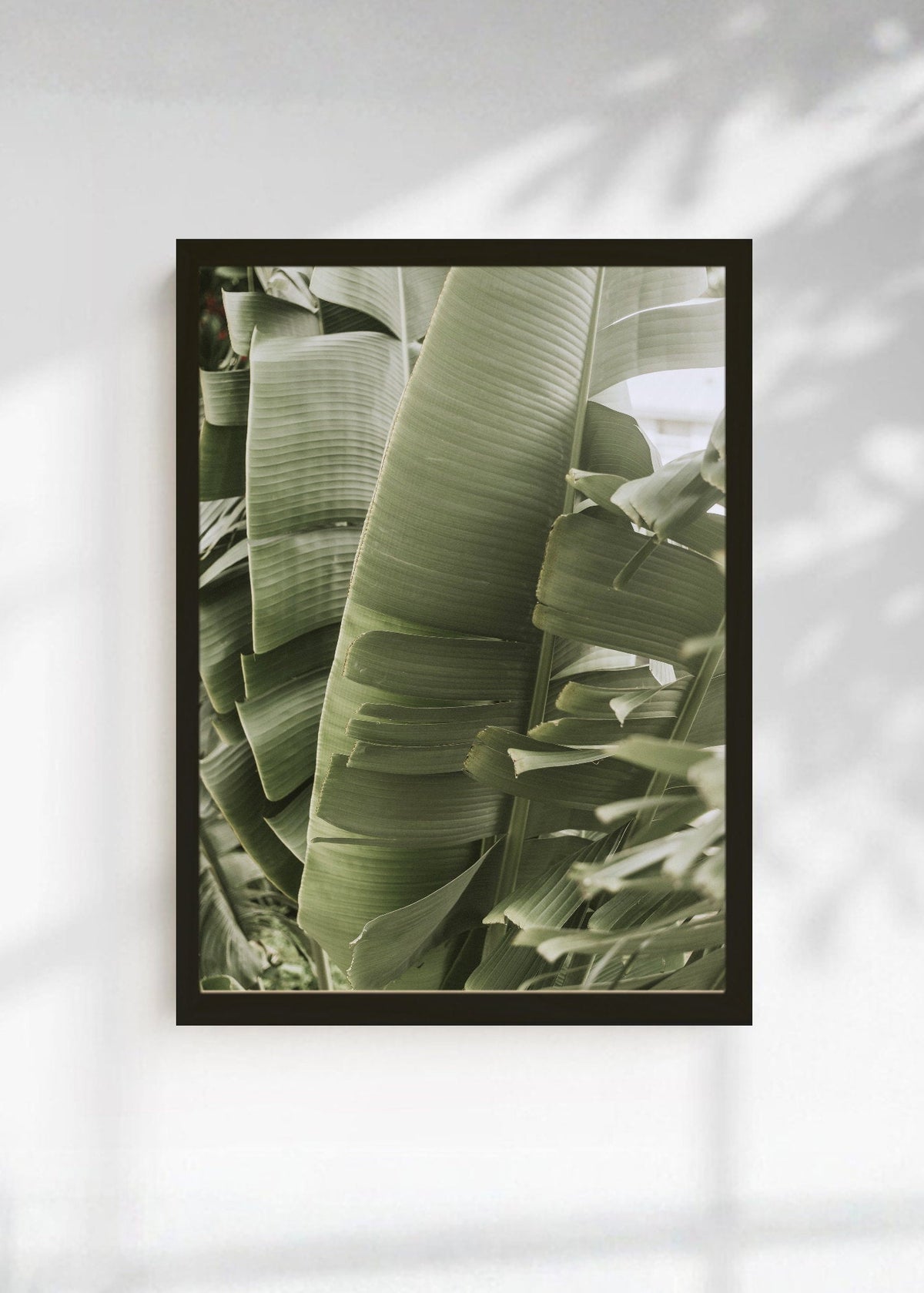 Cuadro Decorativo Playa, Hojas Banano Verde
