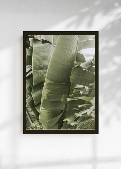 Cuadro Decorativo Playa, Hojas Banano Verde