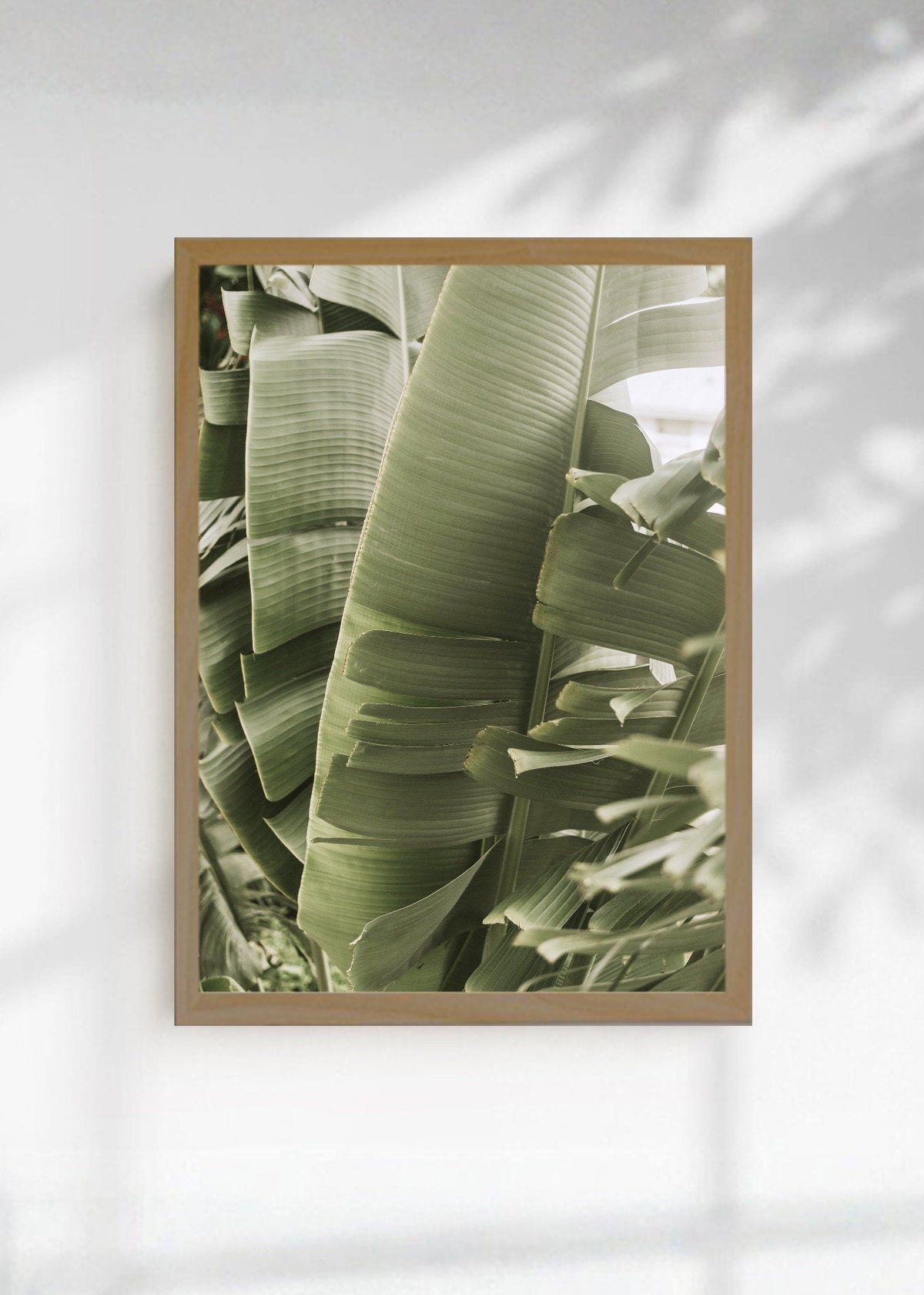 Cuadro Decorativo Playa, Hojas Banano Verde