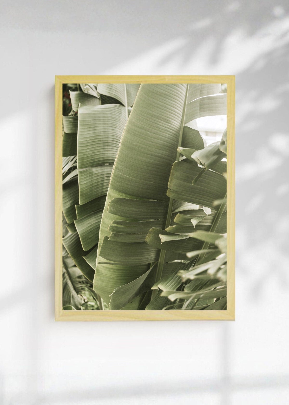 Cuadro Decorativo Playa, Hojas Banano Verde