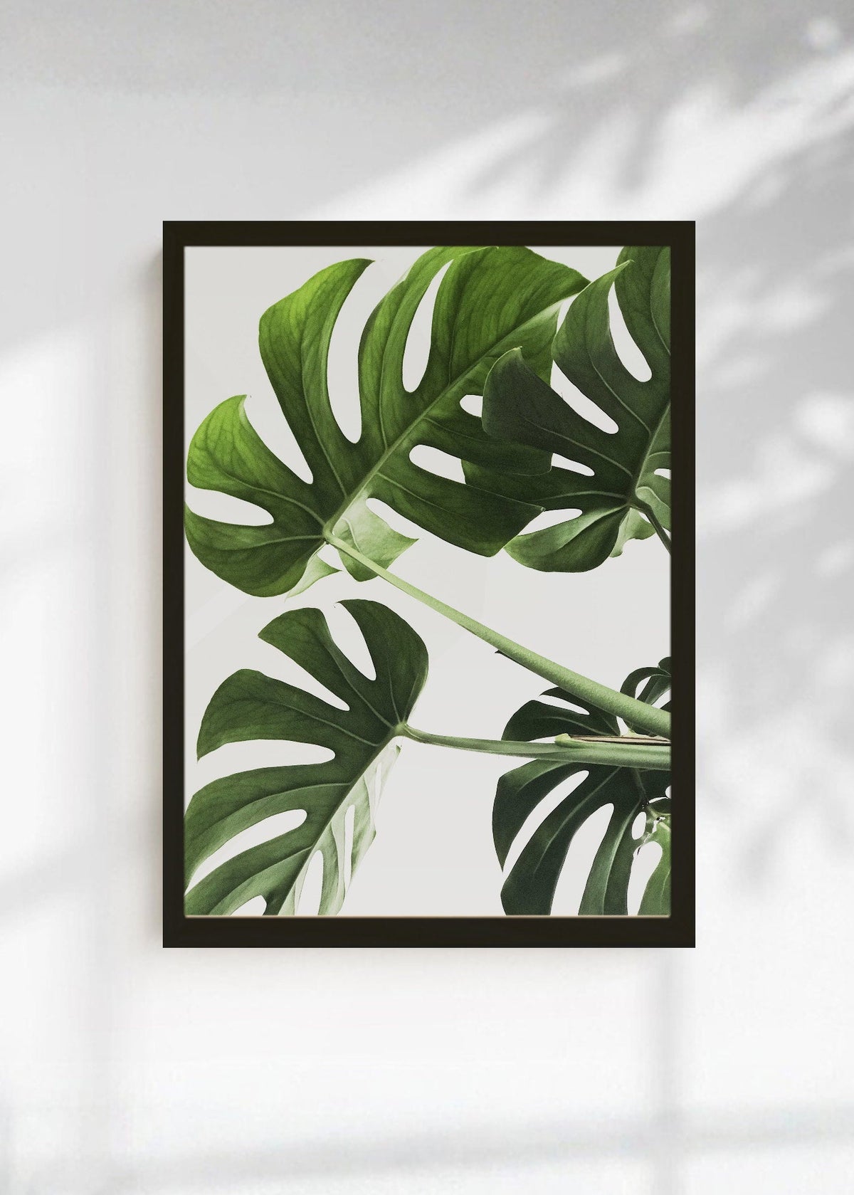 Cuadro Decorativo Playa, Hojas Monstera Verde