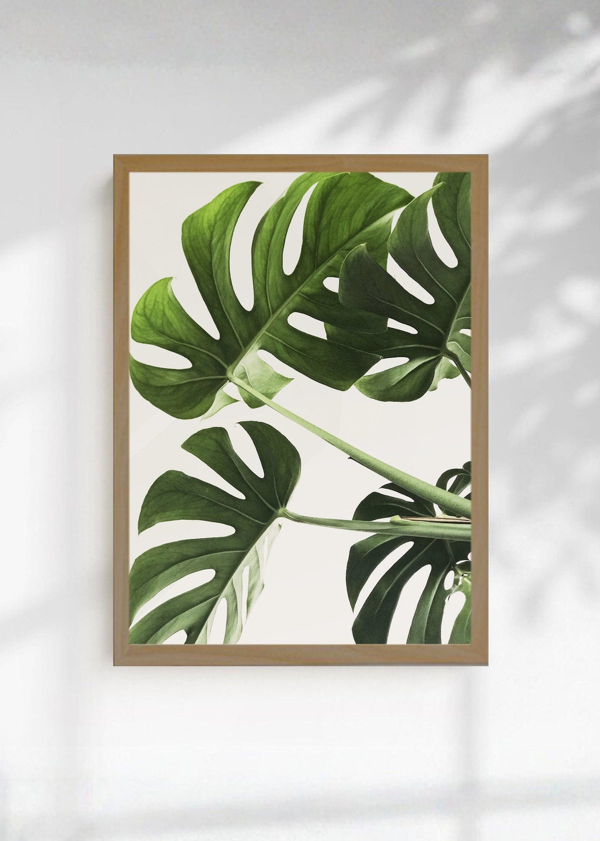 Cuadro Decorativo Playa, Hojas Monstera Verde