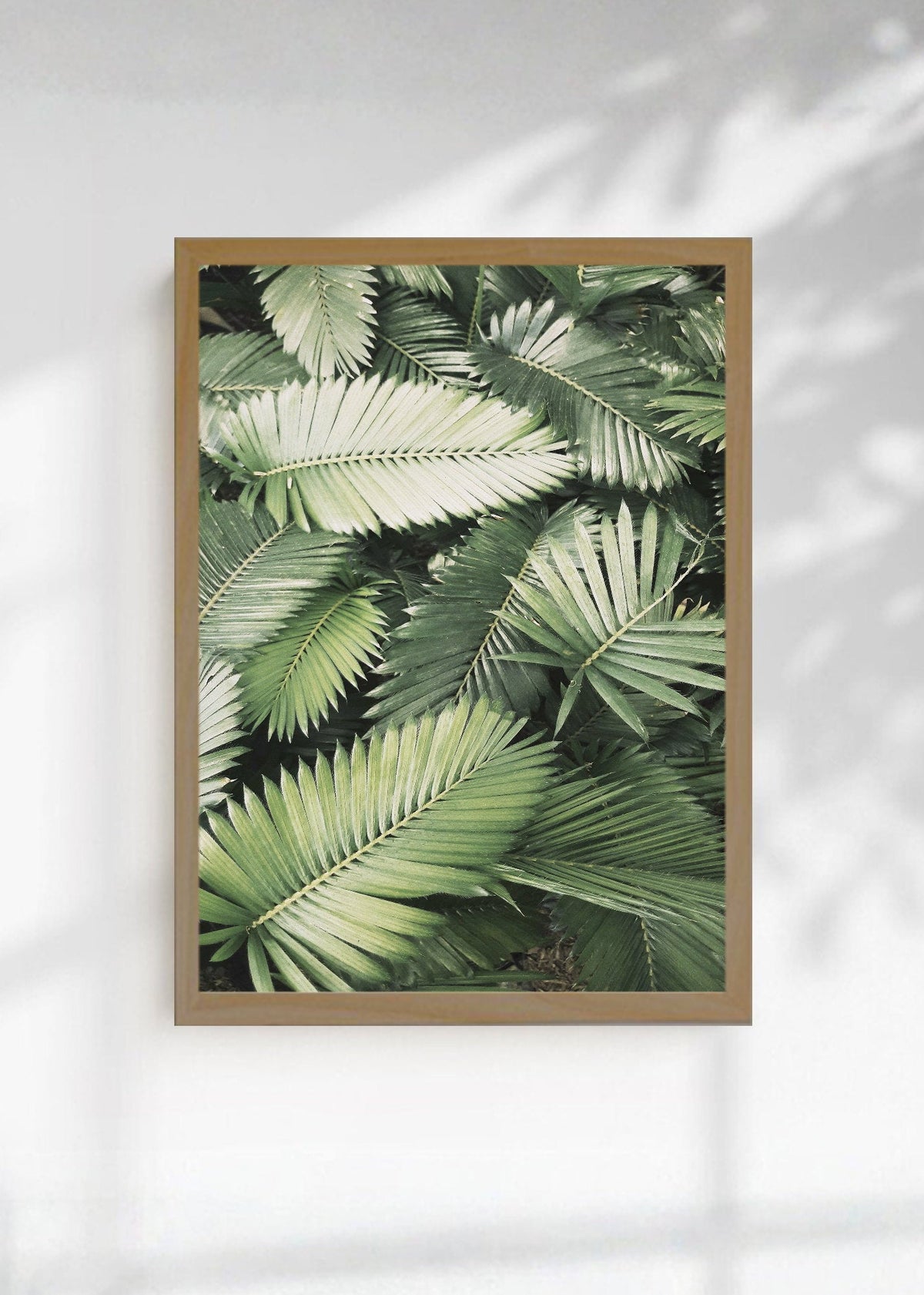 Cuadro Decorativo Playa, Hojas Palmera Verde