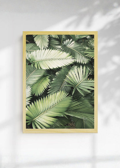 Cuadro Decorativo Playa, Hojas Palmera Verde