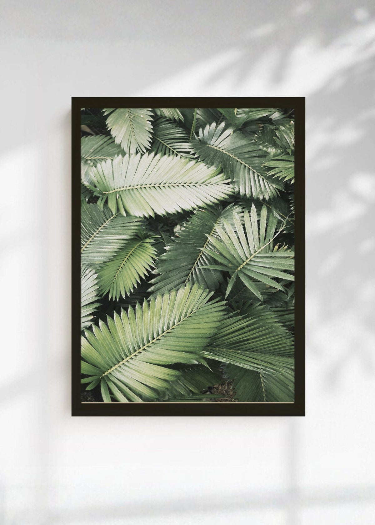 Cuadro Decorativo Playa, Hojas Palmera Verde