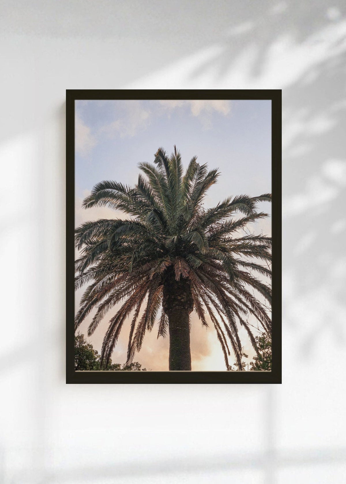 Cuadro Decorativo Playa, Palmera Atardecer Pastel