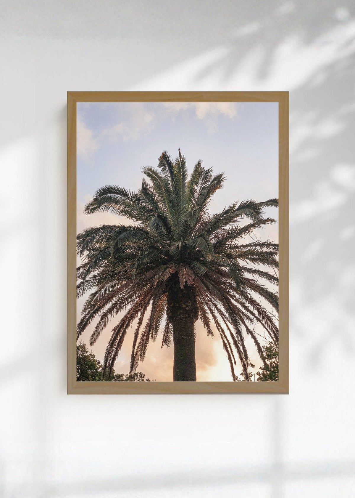 Cuadro Decorativo Playa, Palmera Atardecer Pastel