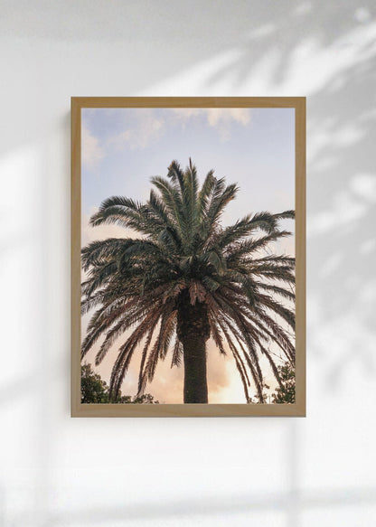 Cuadro Decorativo Playa, Palmera Atardecer Pastel