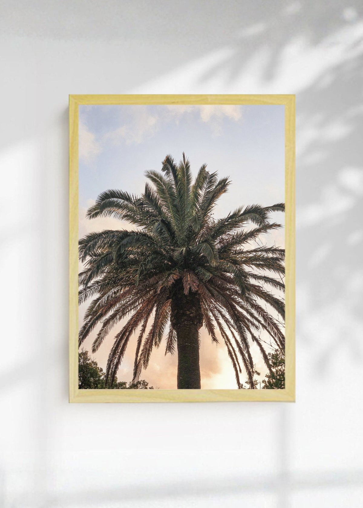 Cuadro Decorativo Playa, Palmera Atardecer Pastel